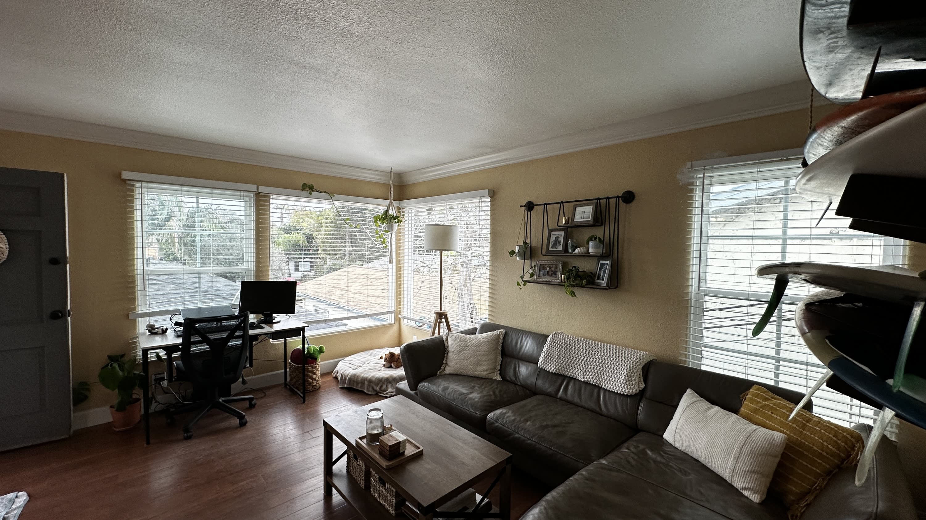 4872 Muir Avenue – photo 5