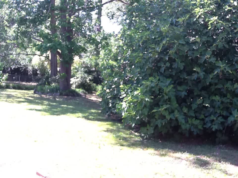 3615 Grier Ave – photo 3