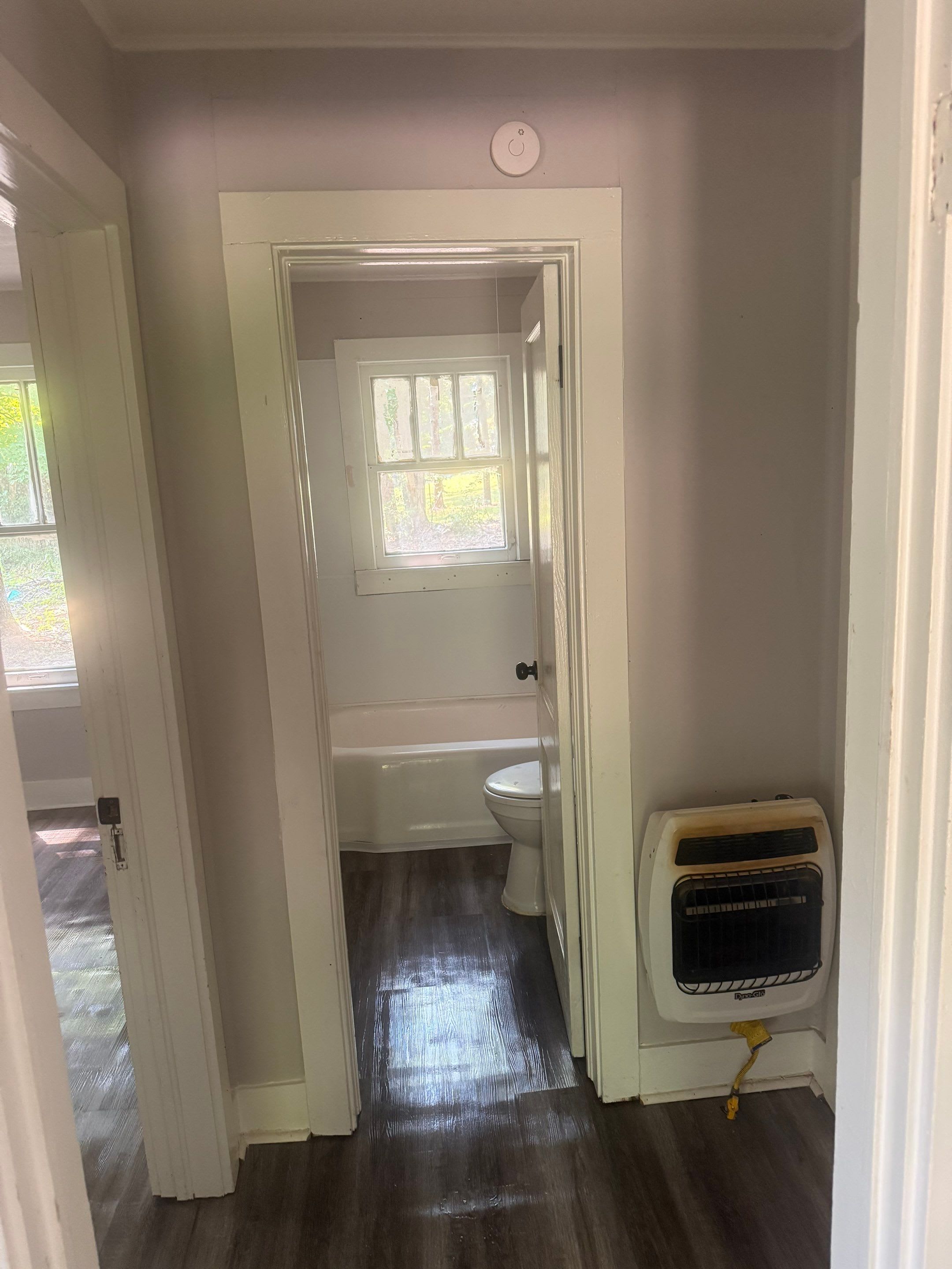 144 Midland Street Ripley – photo 5