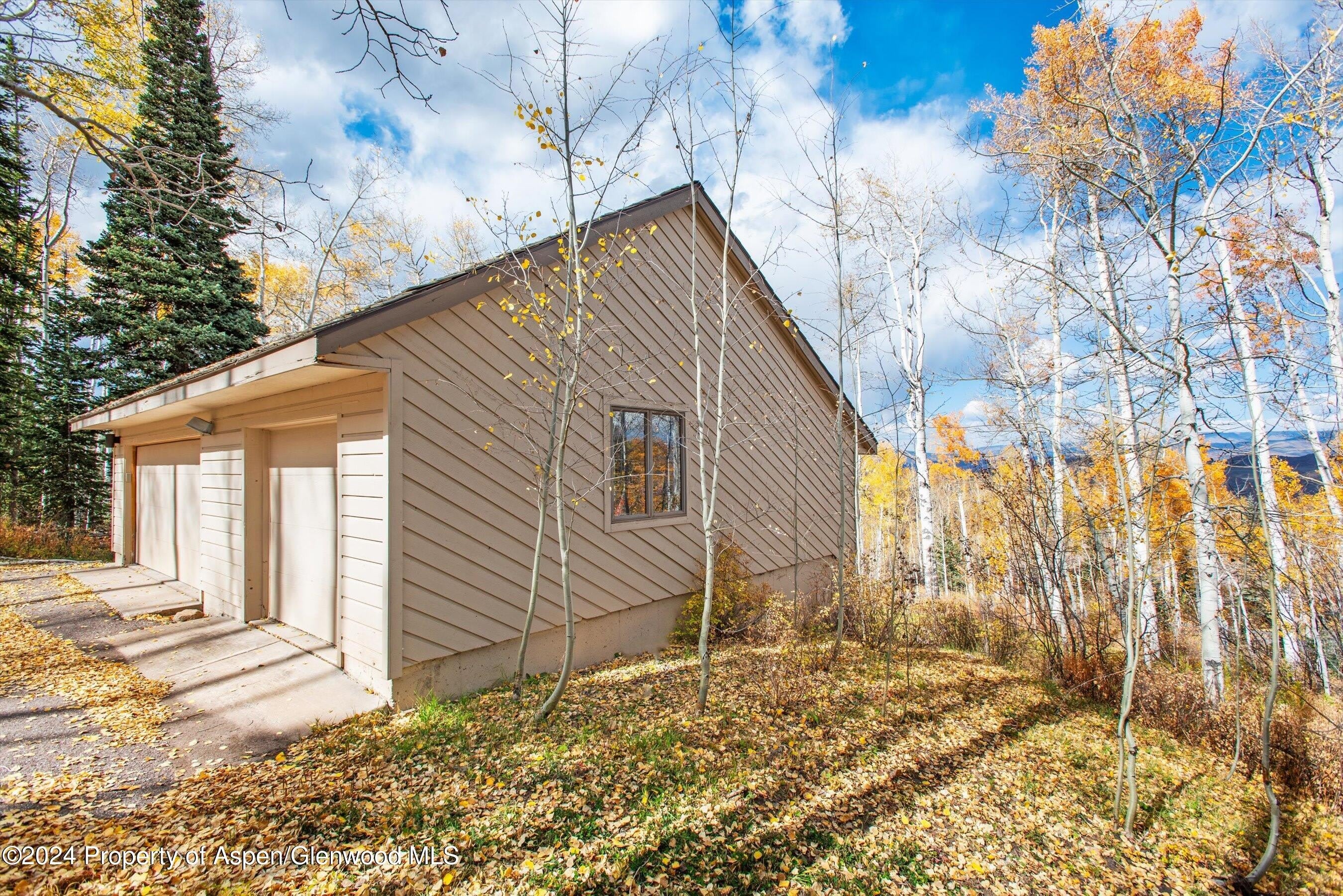 2055 Faraway Road – photo 5