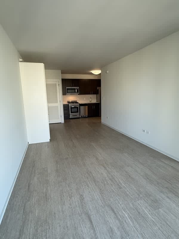 152 W Superior – photo 5