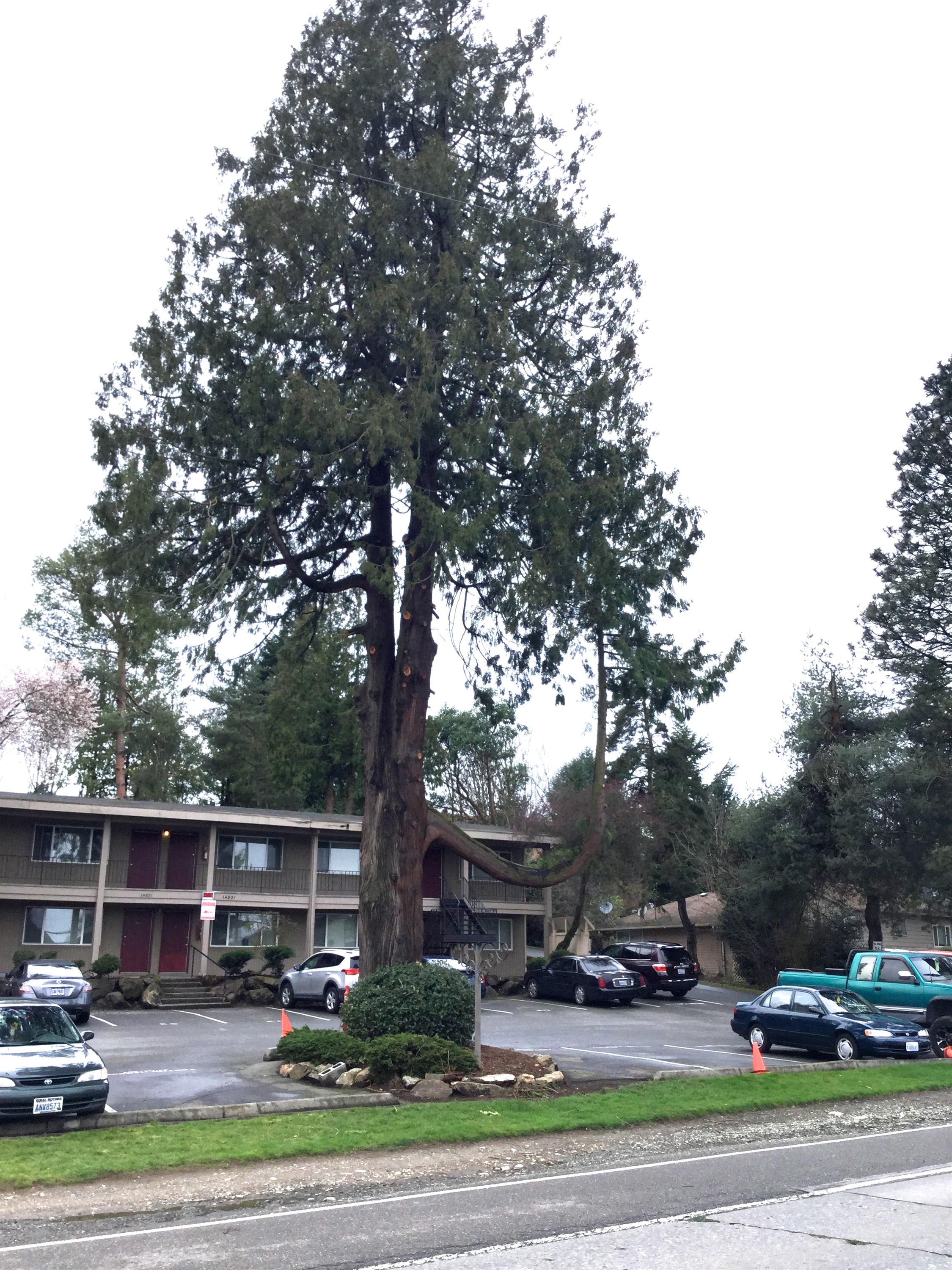 14821 Military Rd S – photo 2