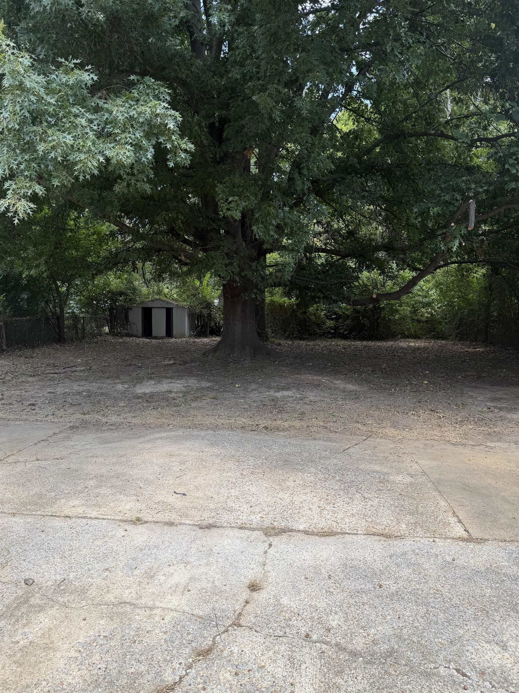 4886 SARATOGA Ave – photo 2