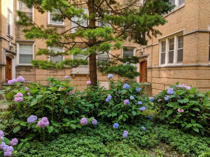 828 Reba Place – photo 2