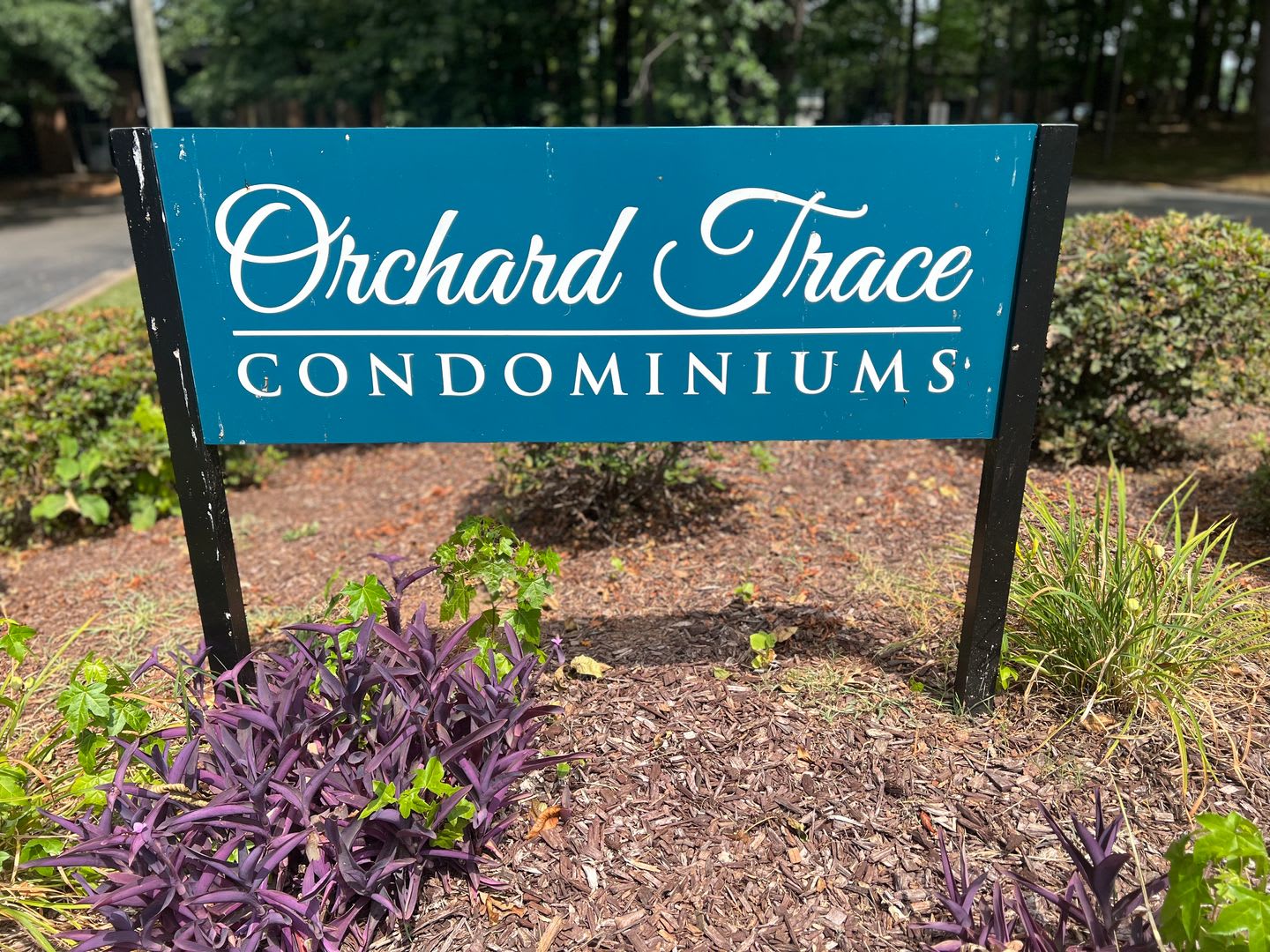 Modern Conveniences & Entertainment, All Within Your Reach. **** Move in Special*** – photo 4