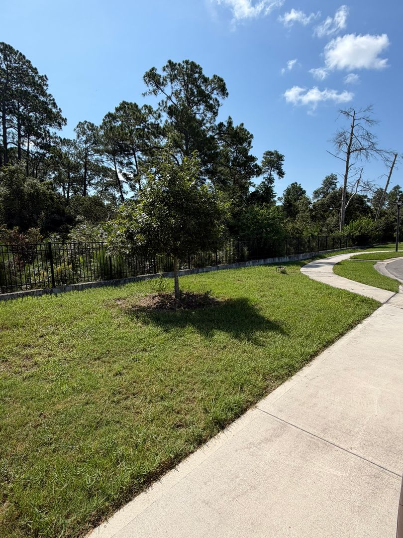 4 2 Home In Deltona For Rent – photo 5