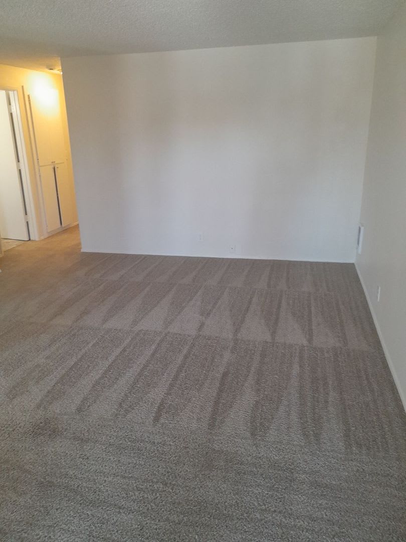 Large Two Bedroom Apartment Homes – photo 2