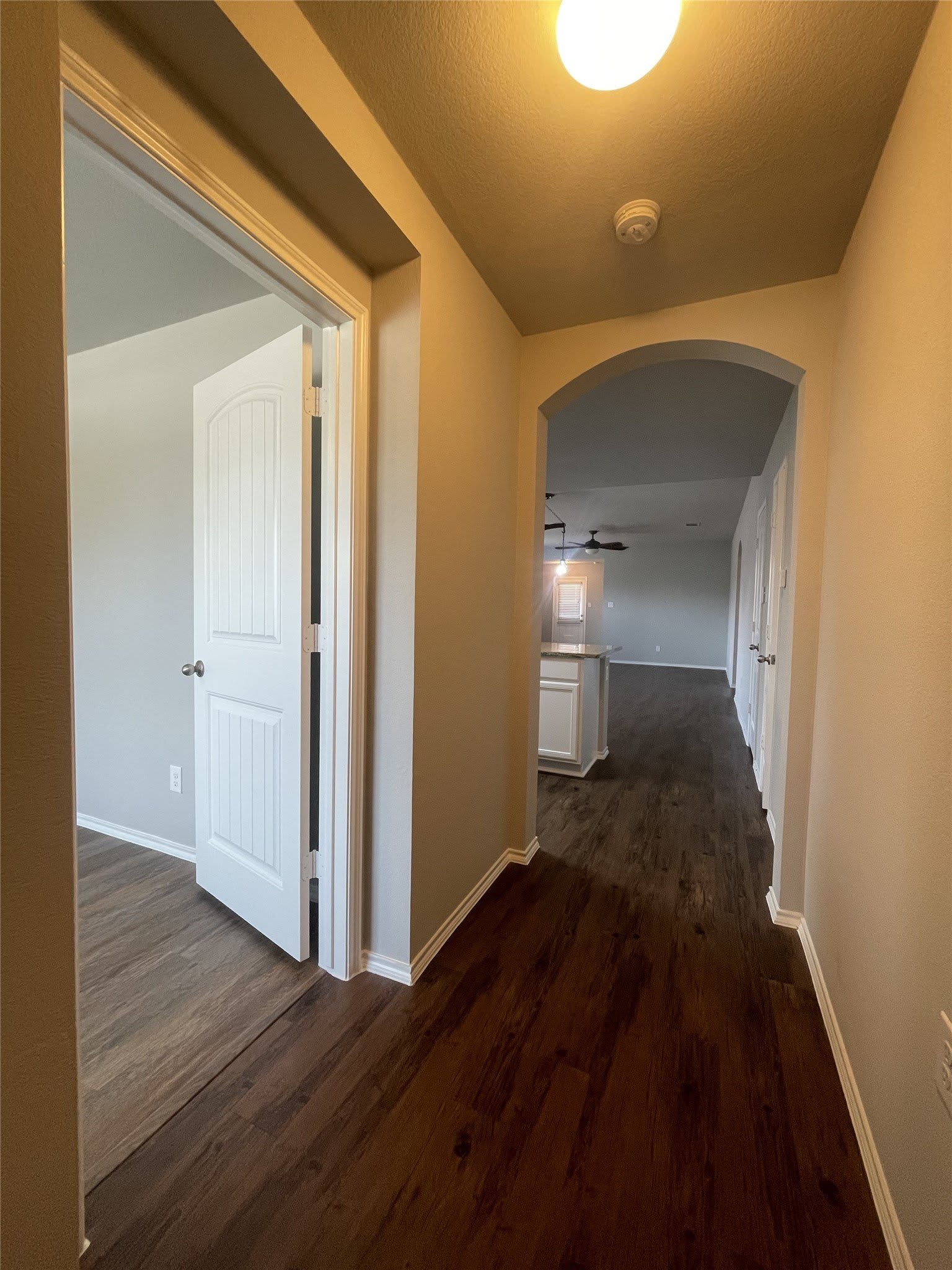 1610 Sorghum Drive – photo 5