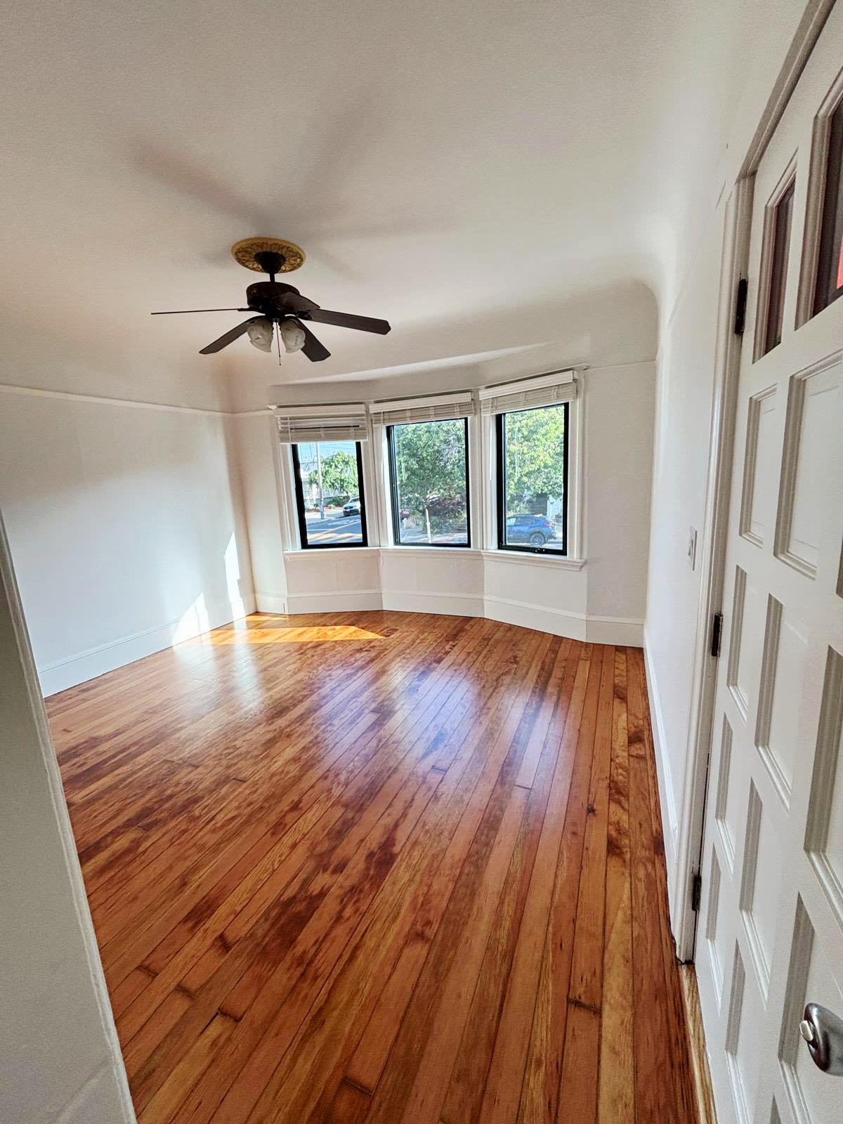 823 Apgar Street – photo 4
