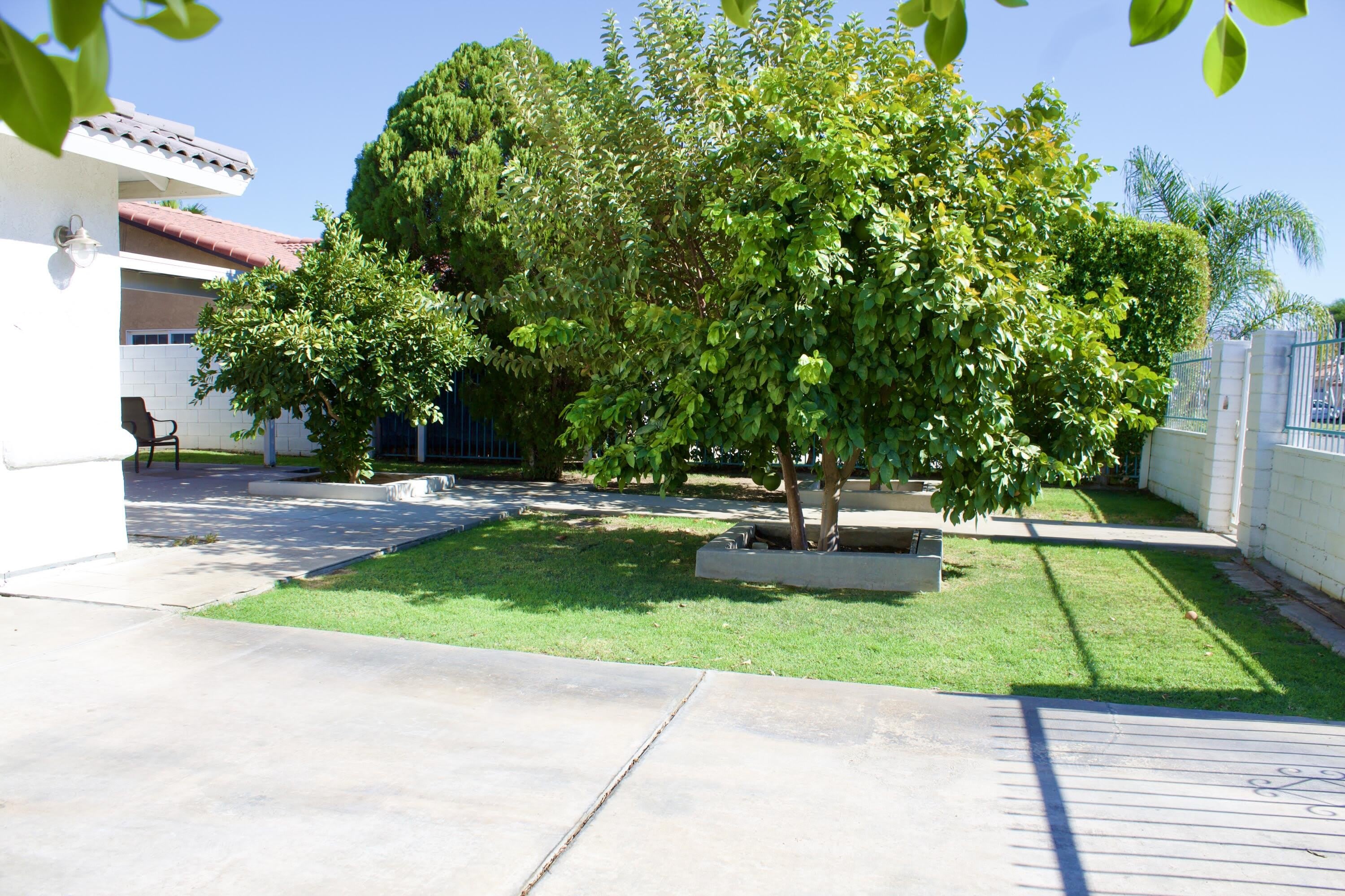 30650 Avenida Del Yermo – photo 4
