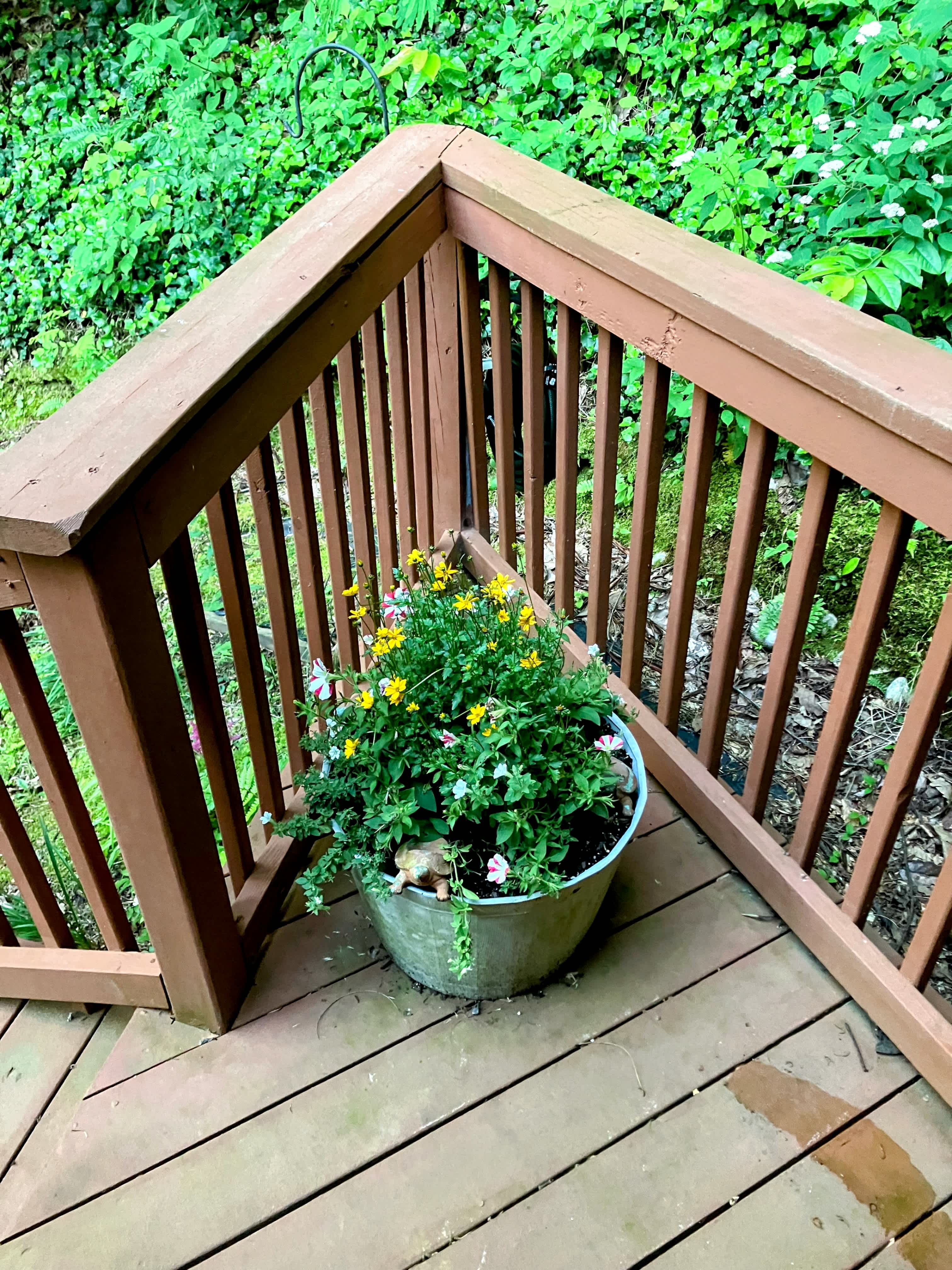 38 Bulldog Lane – photo 3