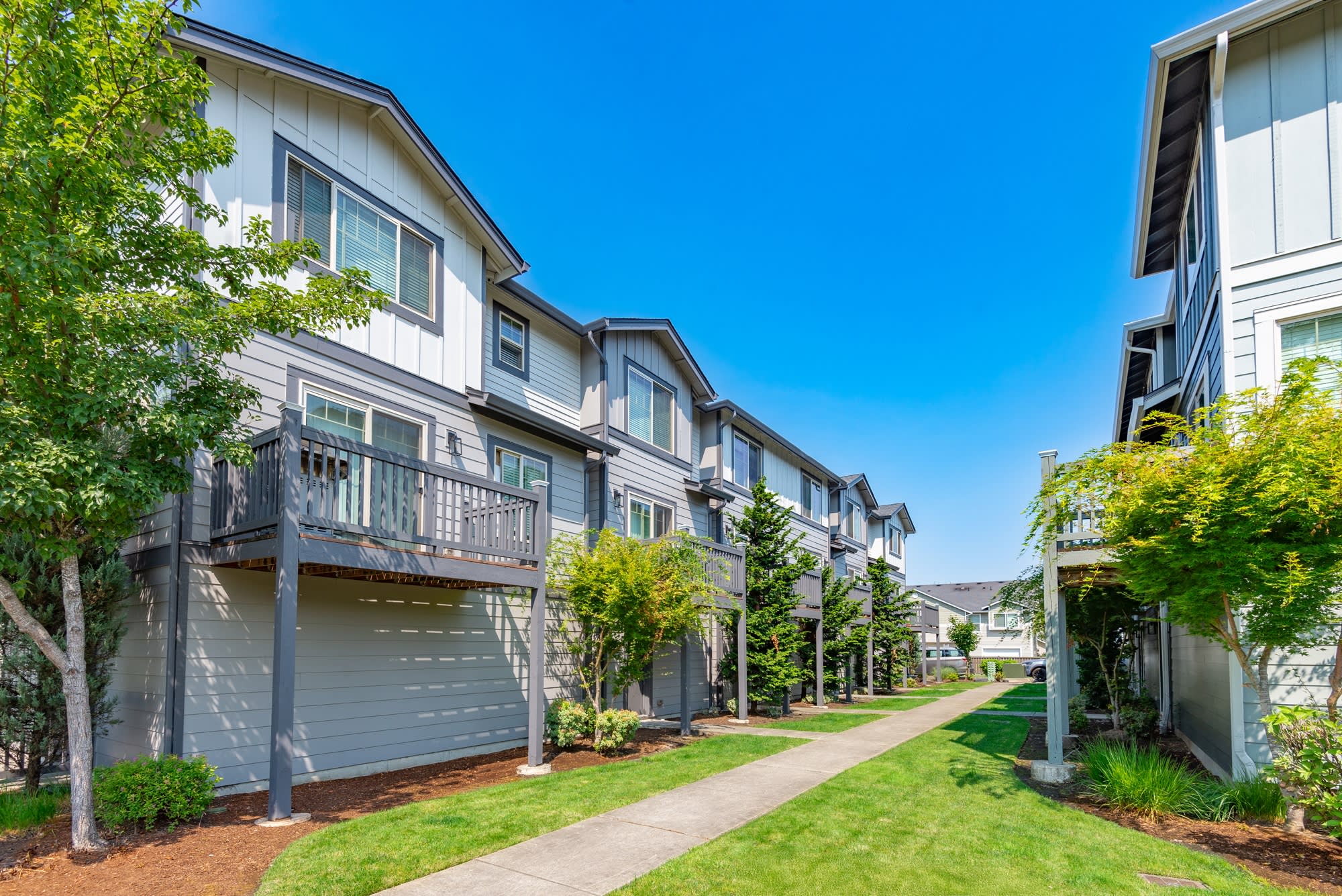 Aster Townhomes – photo 5