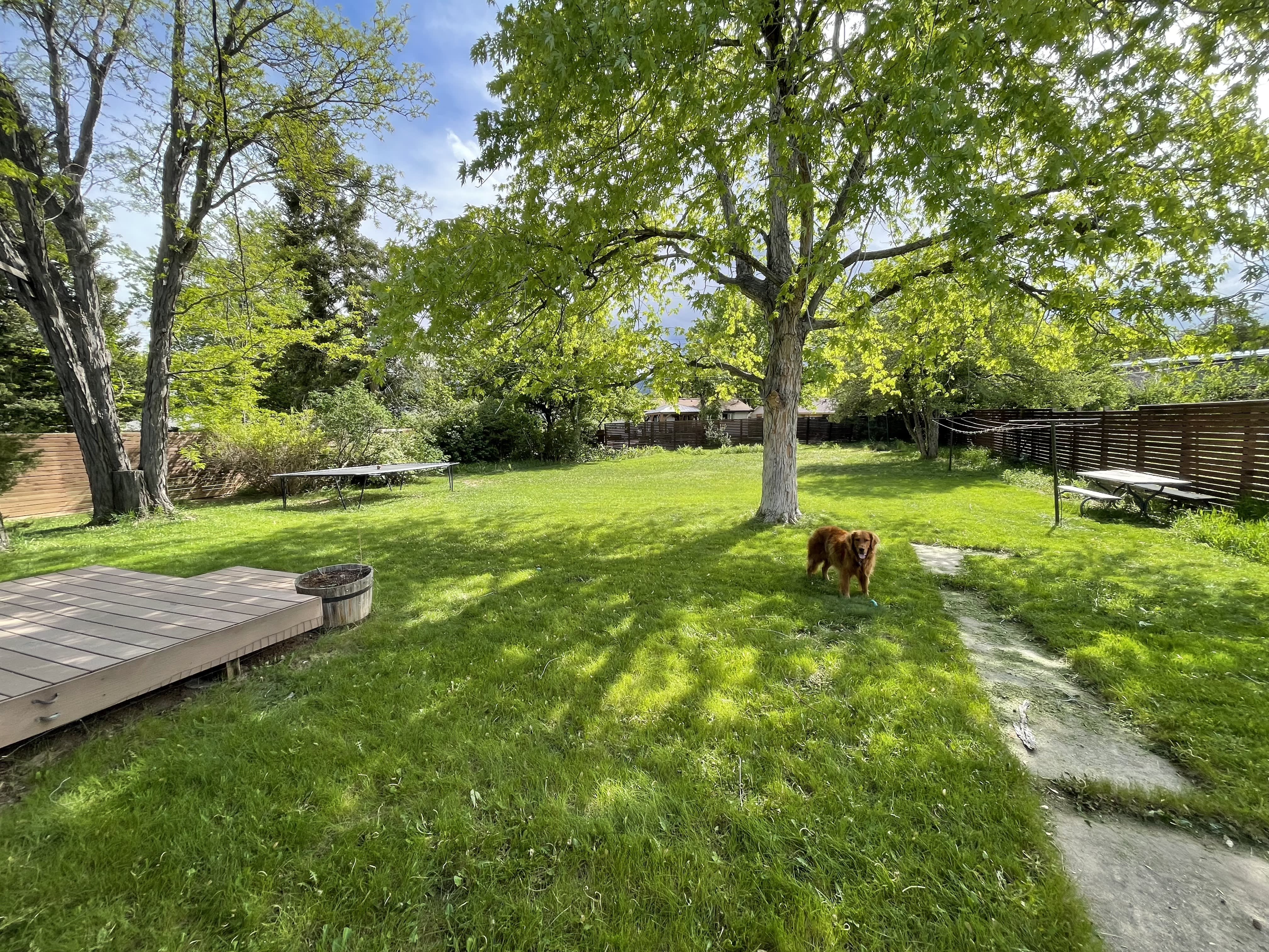 3045 23rd Street – photo 3