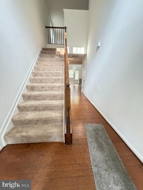 210 Trails Way – photo 4