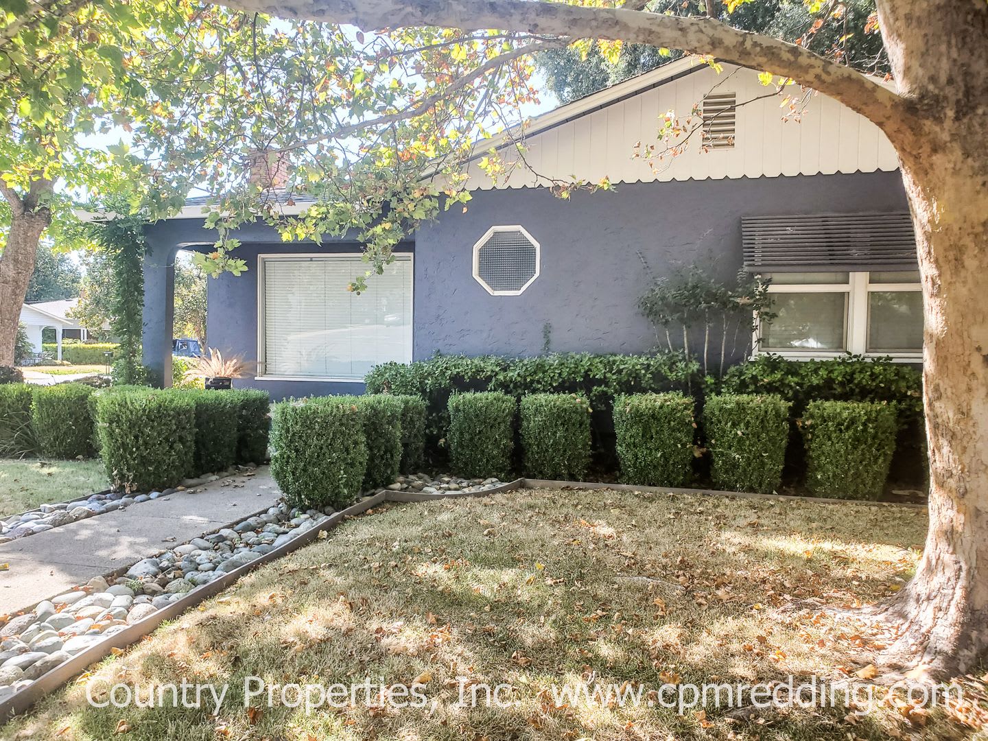 Updated Garden Tract Stunner with Landscaper Included! – photo 3