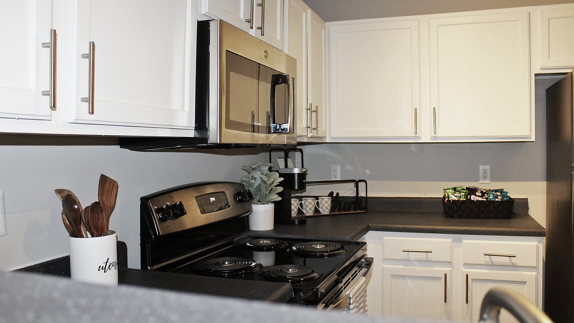 Centennial Village – photo 4