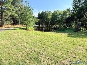 22900 St James – photo 2
