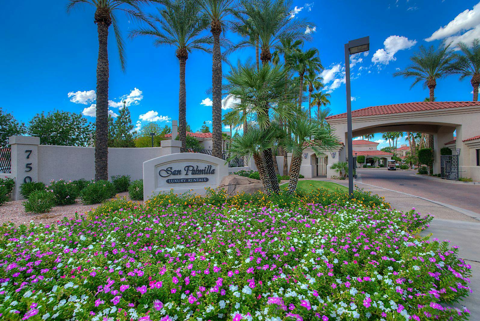 San Palmilla by Mark-Taylor – photo 4