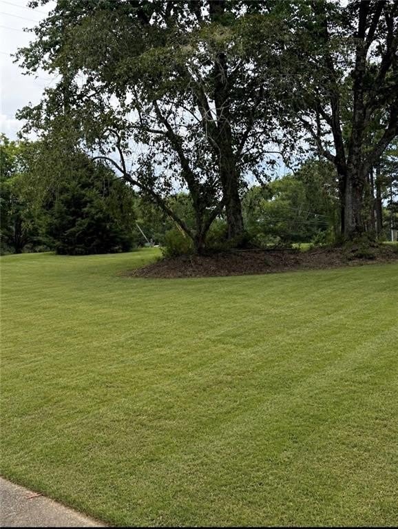 393 New Hope Road – photo 4