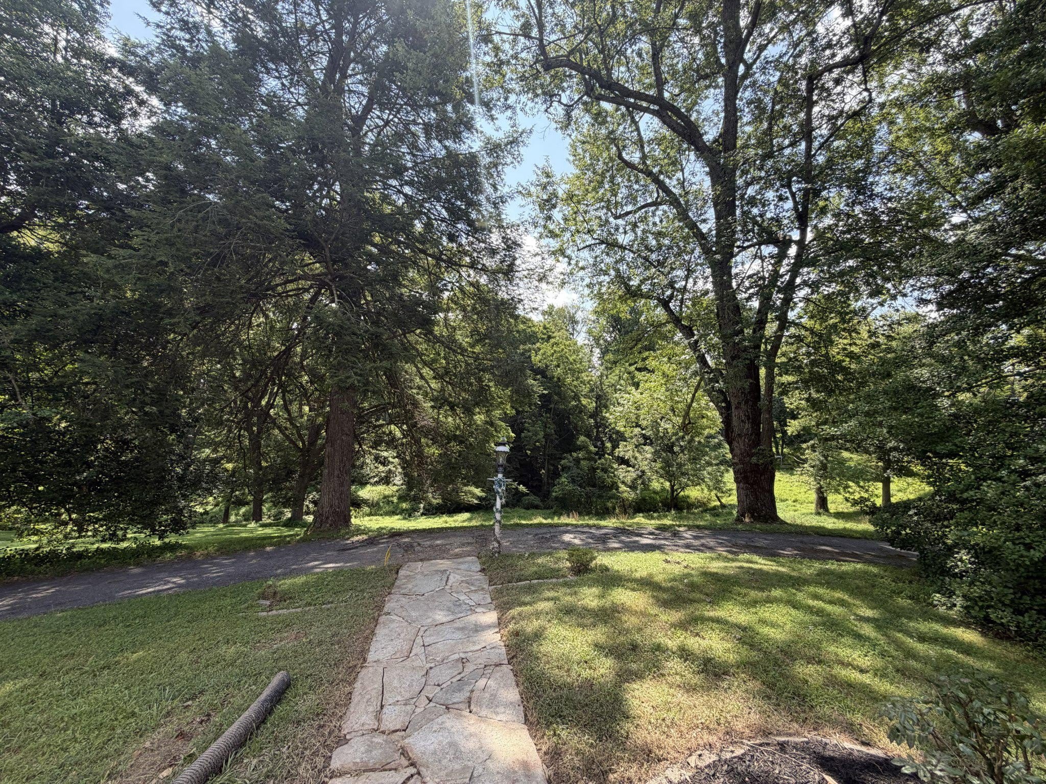 3958 OLD COLUMBIA Pike – photo 4