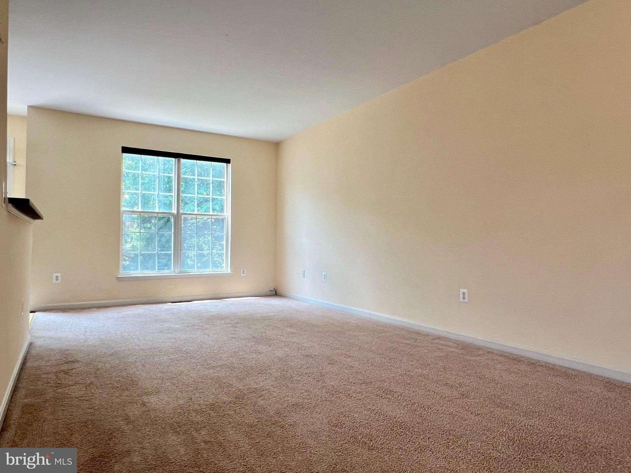 15720 PALERMO Terrace – photo 5