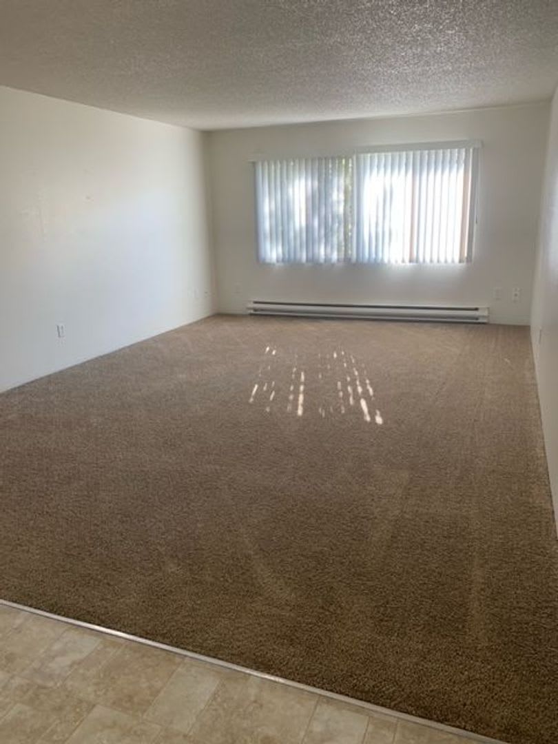 Almost all plank flooring -Beautiful Newer Built Home Central location! – photo 3