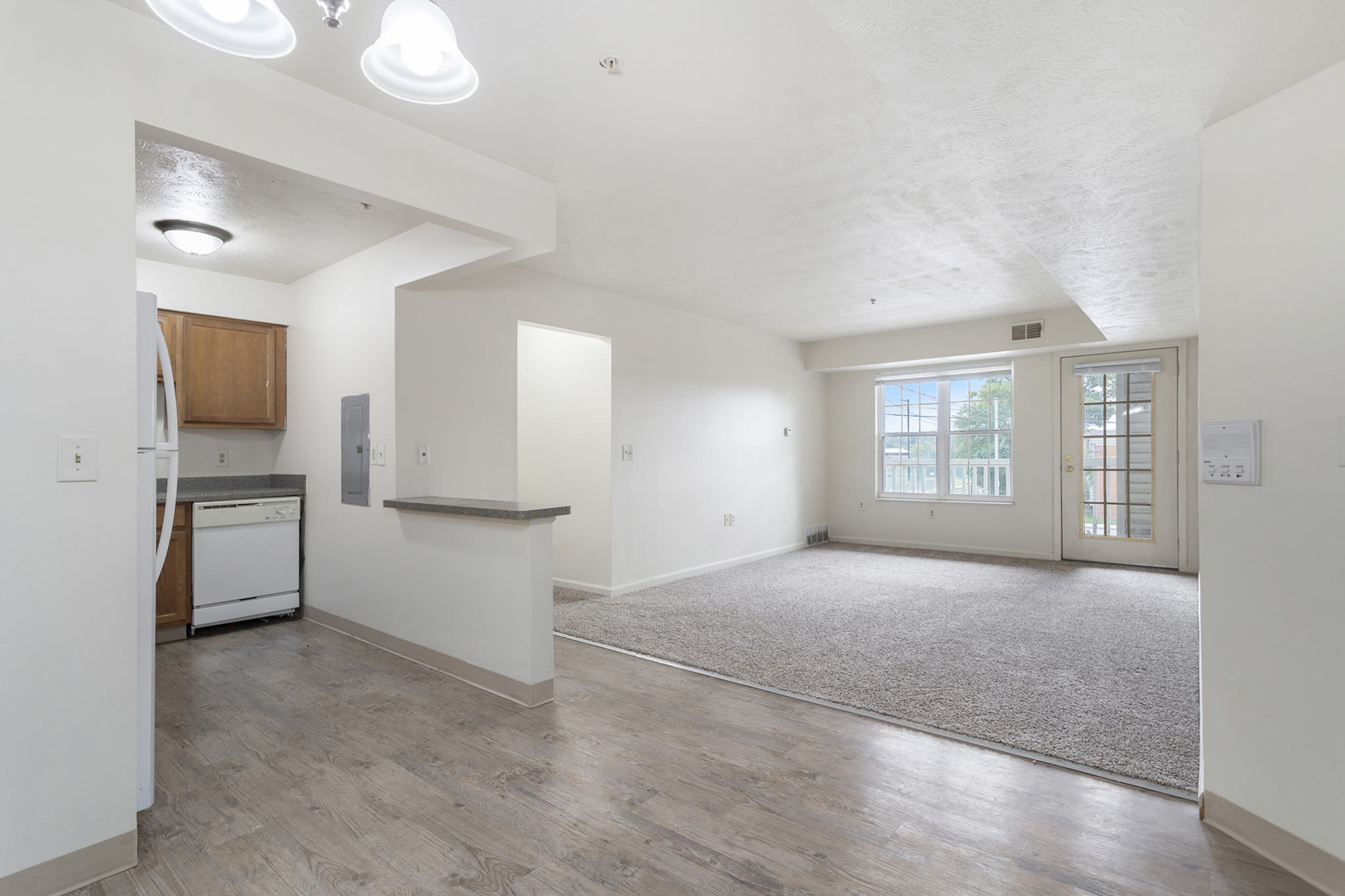 60 Springview Drive – photo 3