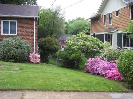 6113 N 31St St – photo 1