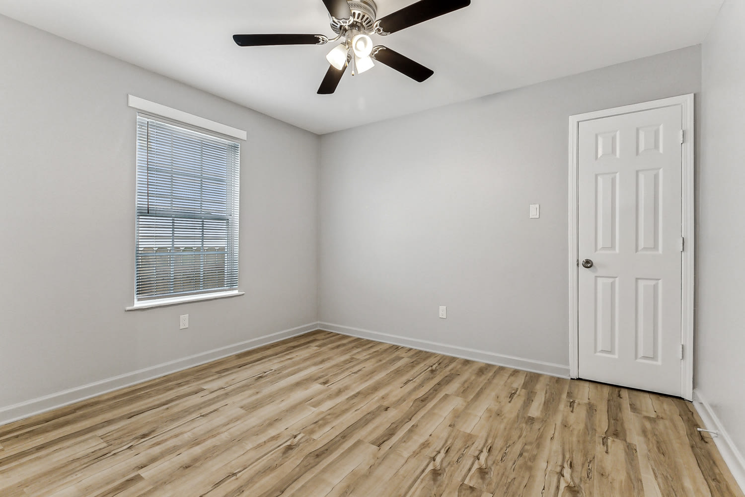 2016/2018 Pauger St – photo 3