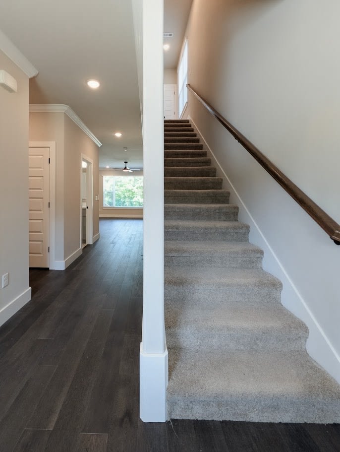 4 Mchugh Lane – photo 5