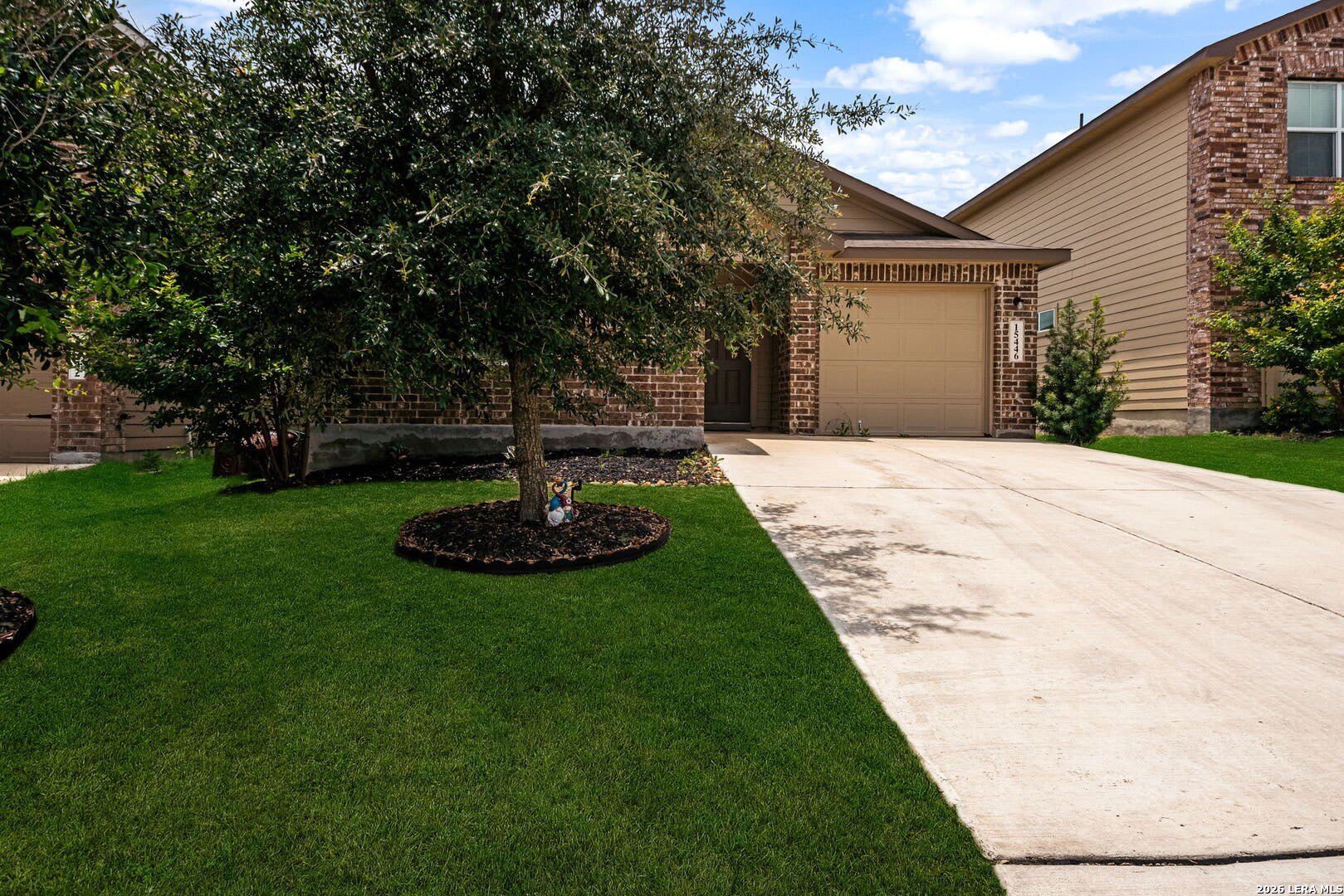 15446 Shortwing – photo 1