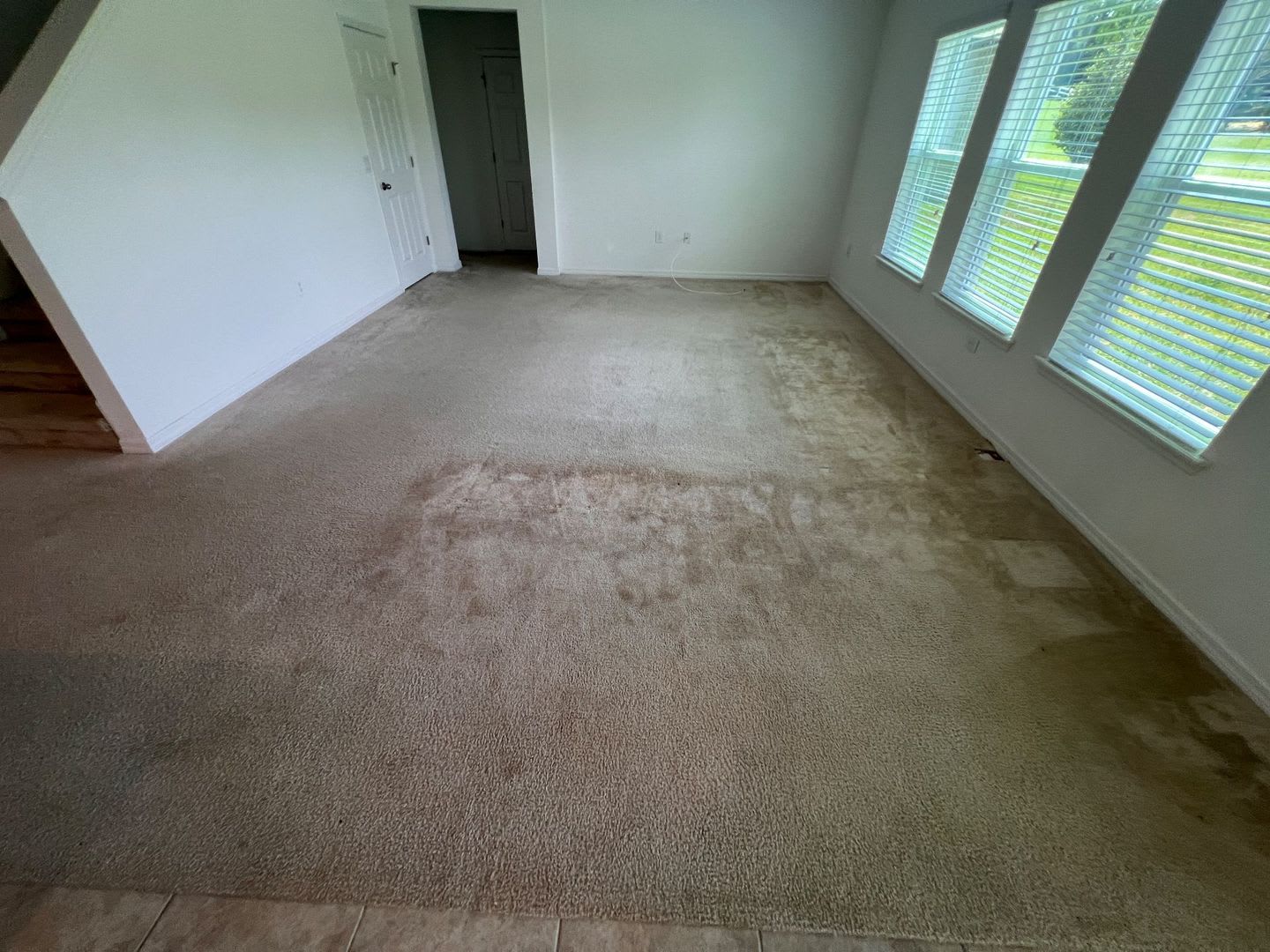 Spacious 4 bedroom, 2.5 bathroom house, no rear neighbors – photo 4