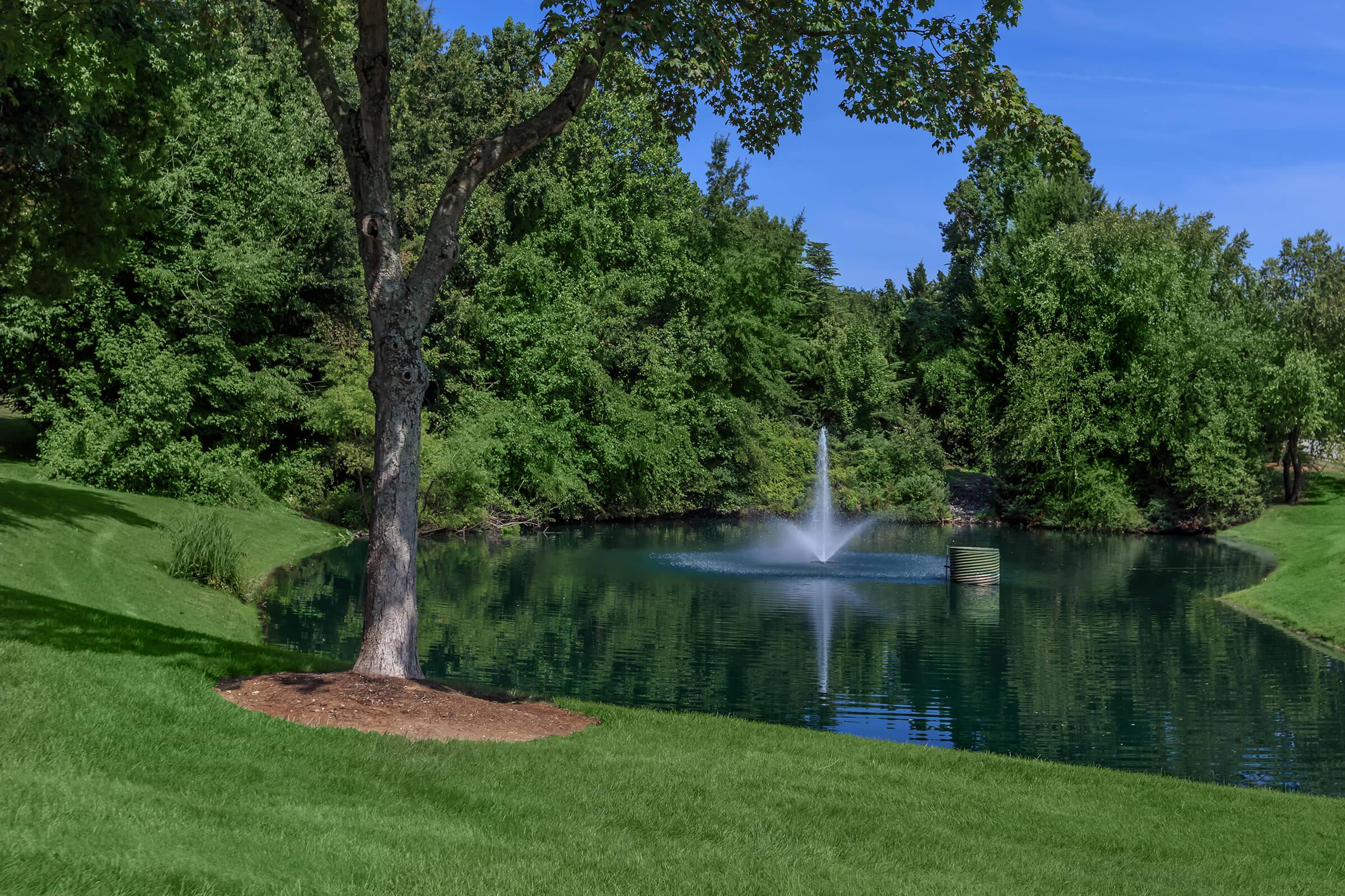 Friendly Gardens – photo 4