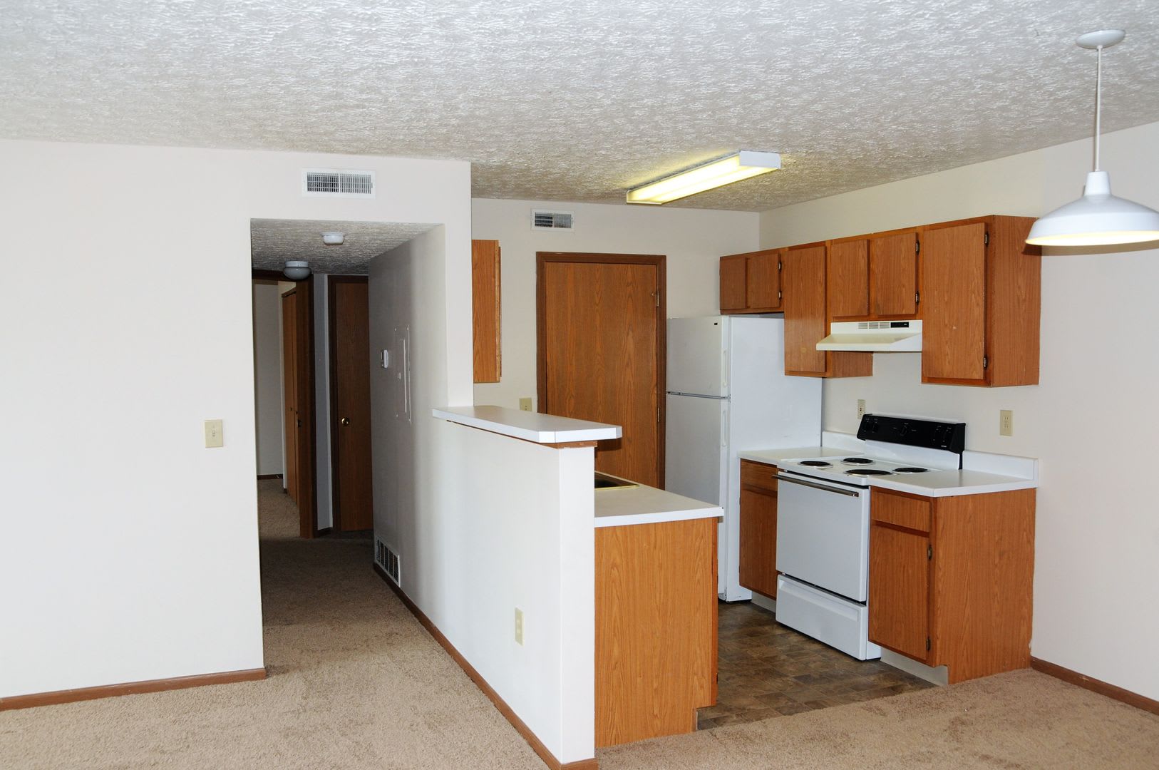 5561 Cedar Springs – photo 4