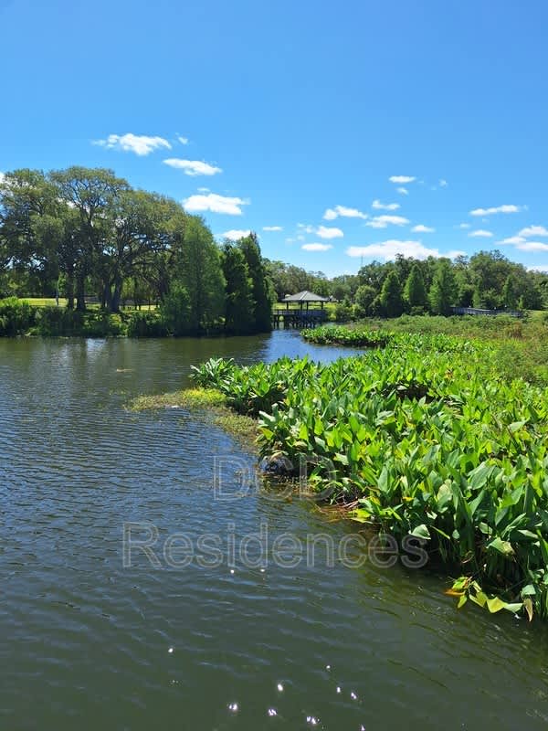 514 S Betty Ln – photo 5