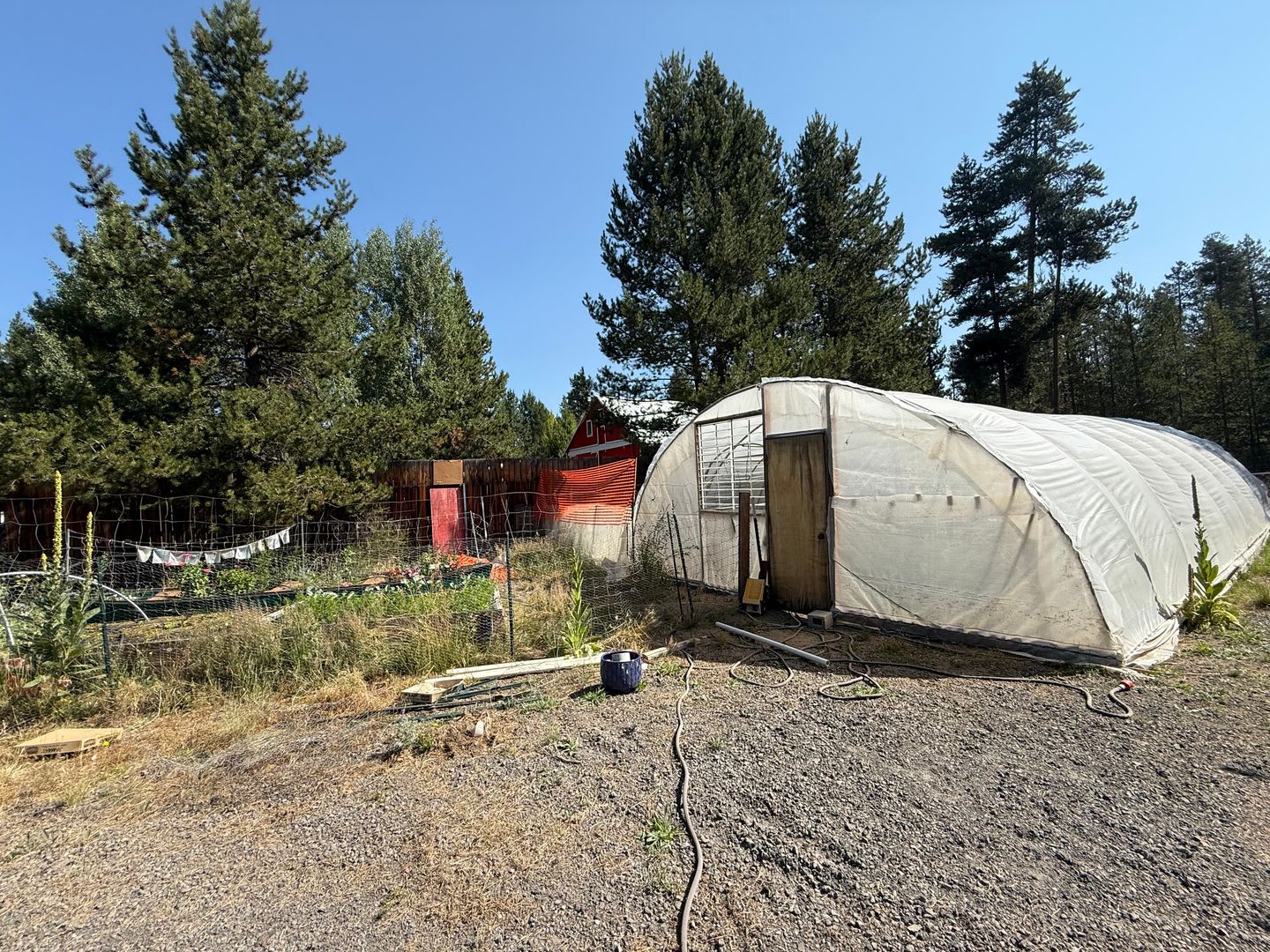 Recently Remodeled 2 Bedroom Home on 1 Acre with Greenhouse, Garden &amp; Chicken Coop – photo 3