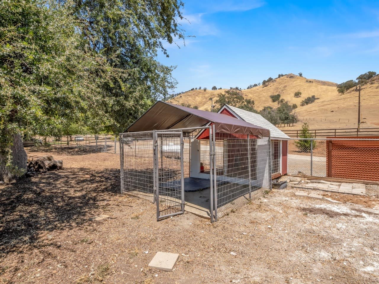 6319 Lupine Dr – photo 5