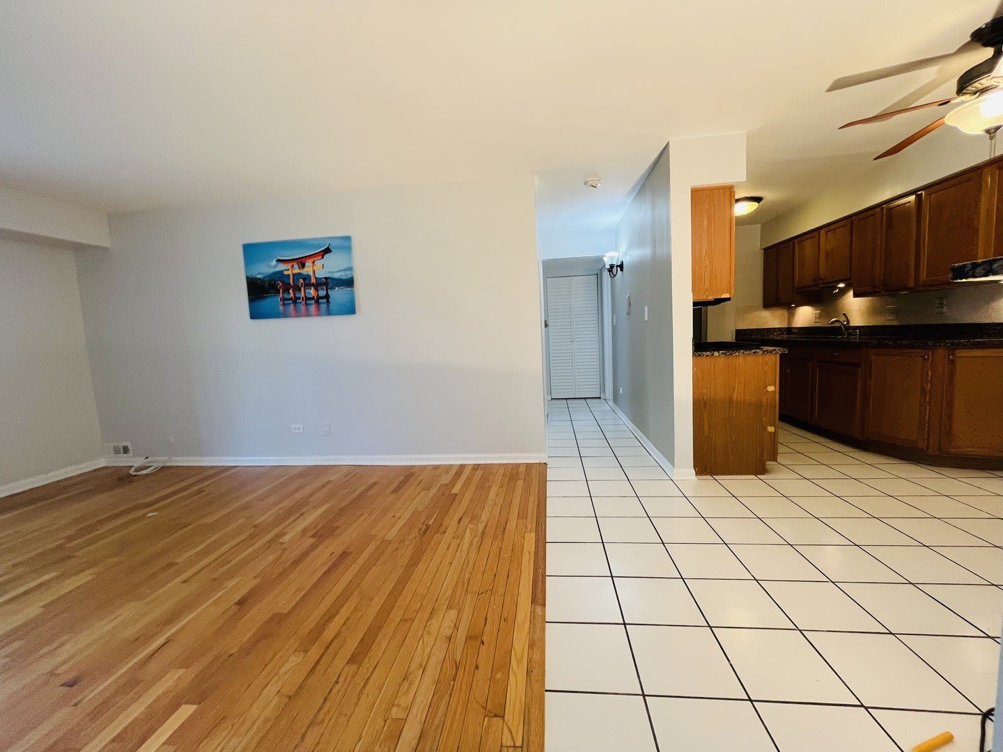 1511 N Windsor Drive – photo 4