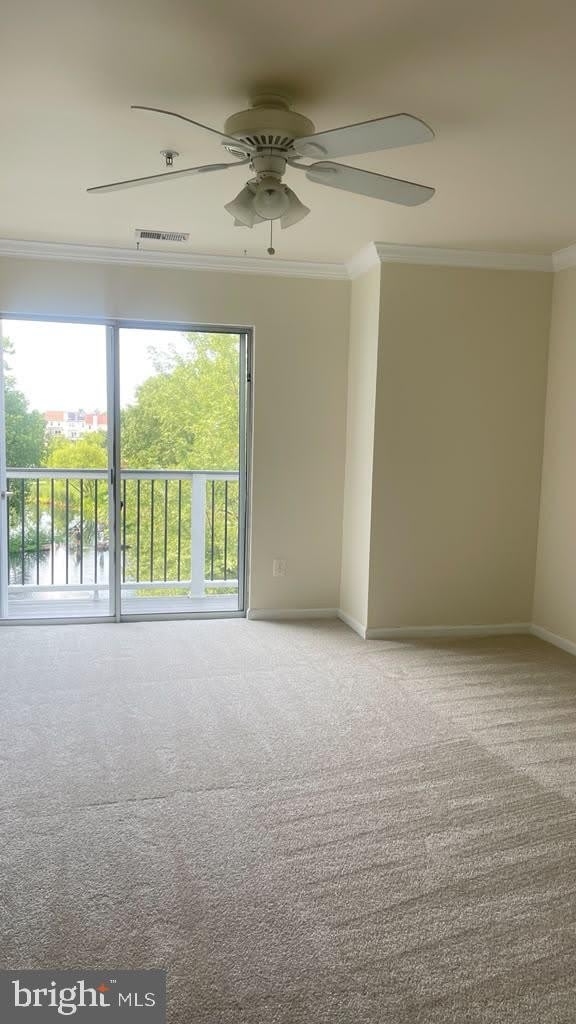 44106 Natalie Terrace – photo 3