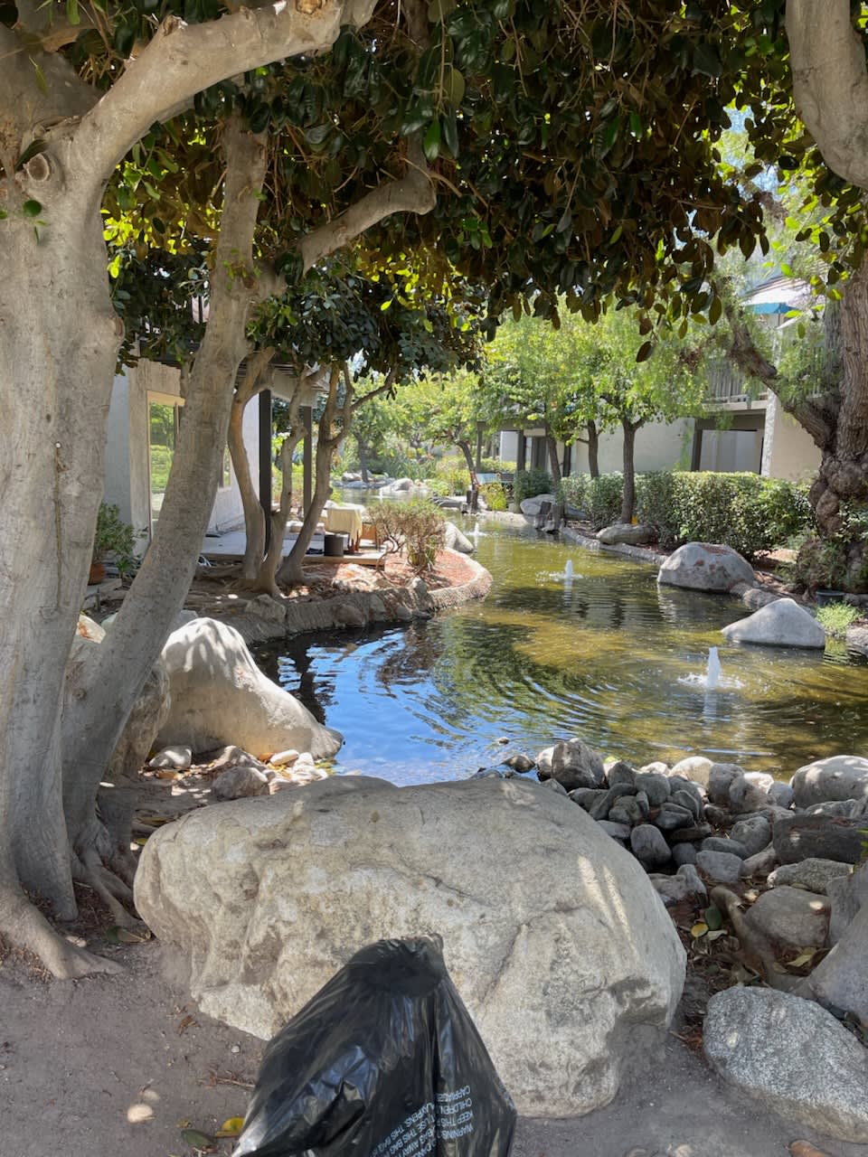 469 Orange Blossom – photo 2