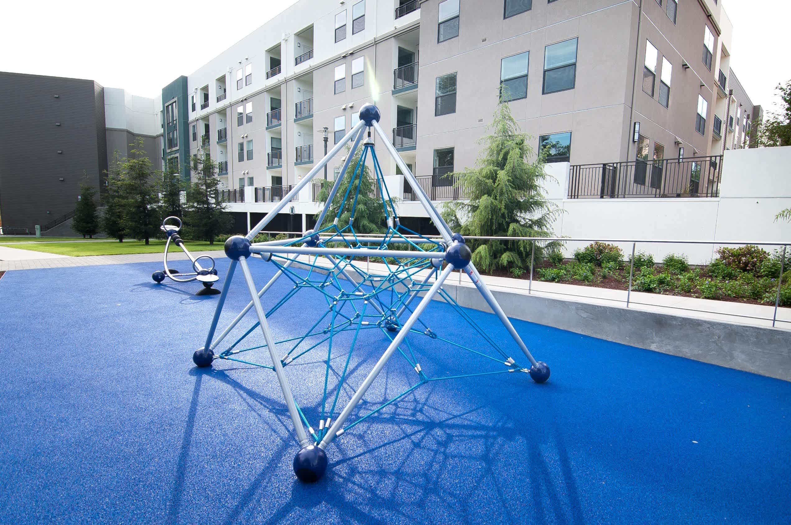 Cadence Apartments – photo 5