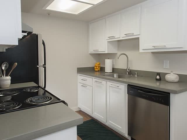Carmichael Court – photo 2