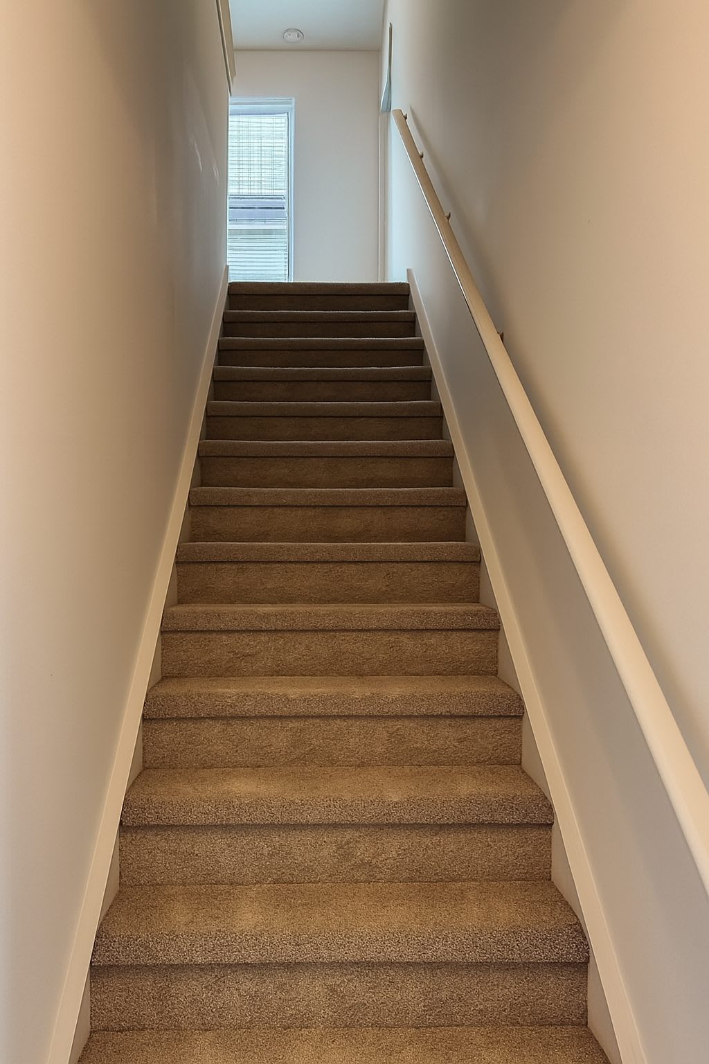 14229 Whistling Teal Drive – photo 4