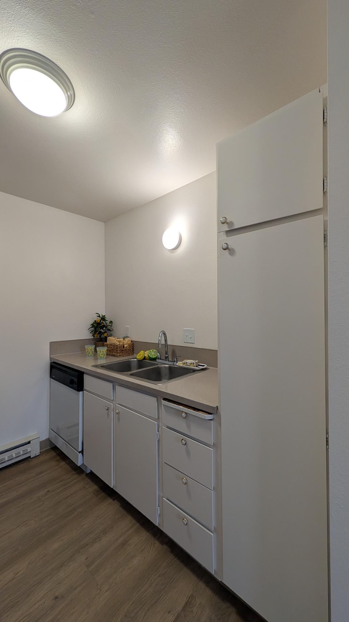 Sawyer Pointe – photo 4