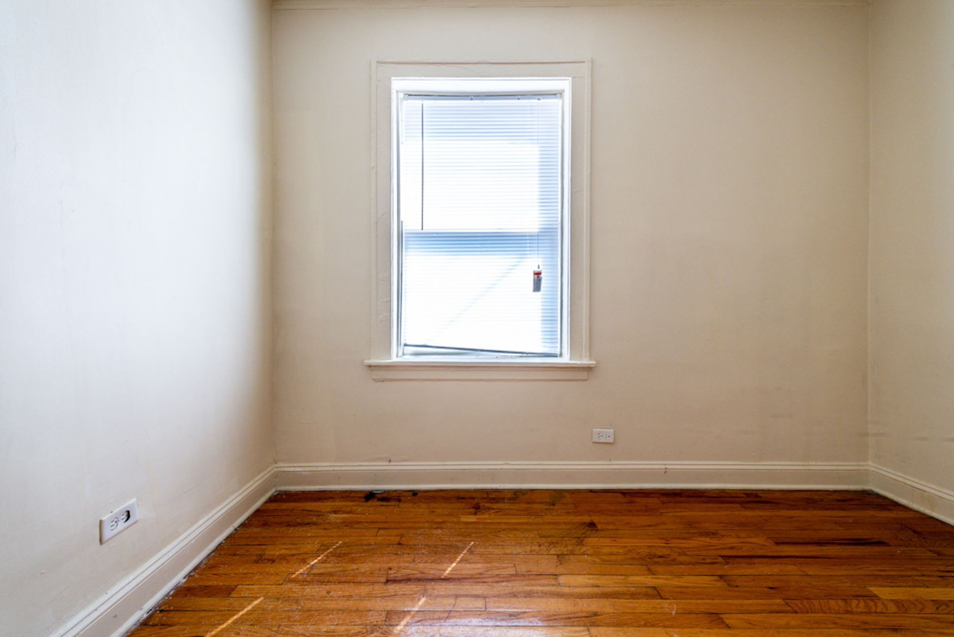8001-03 S Carpenter – photo 4