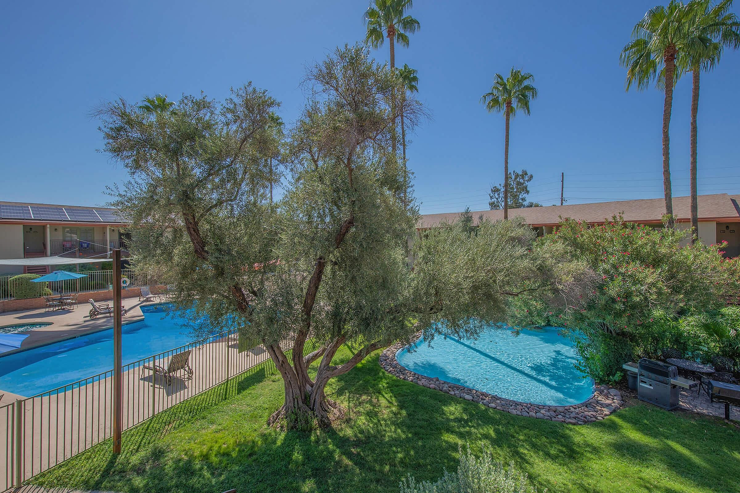 Pinnacle Heights – photo 3