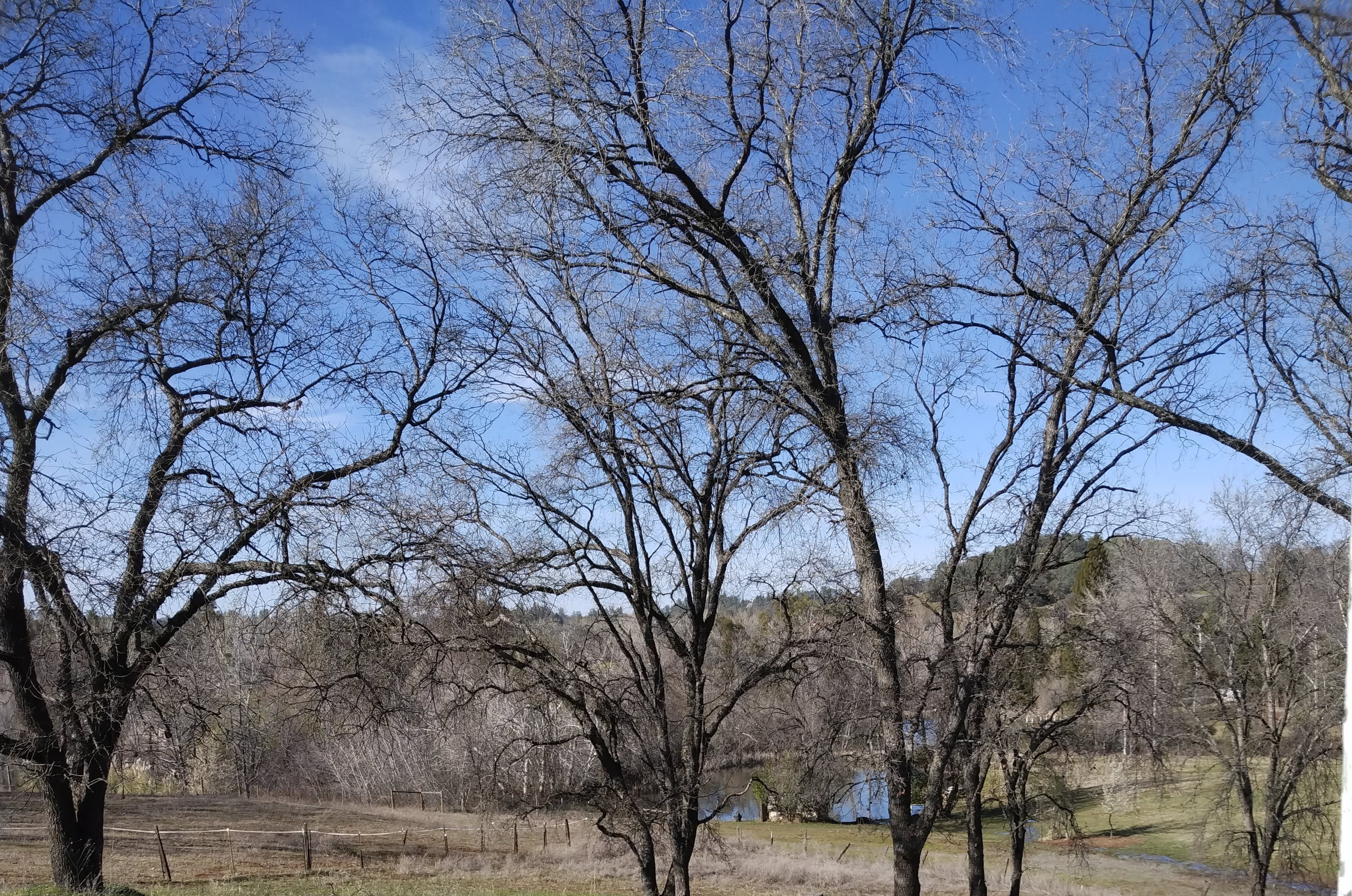 1401 Hamblen Way – photo 4