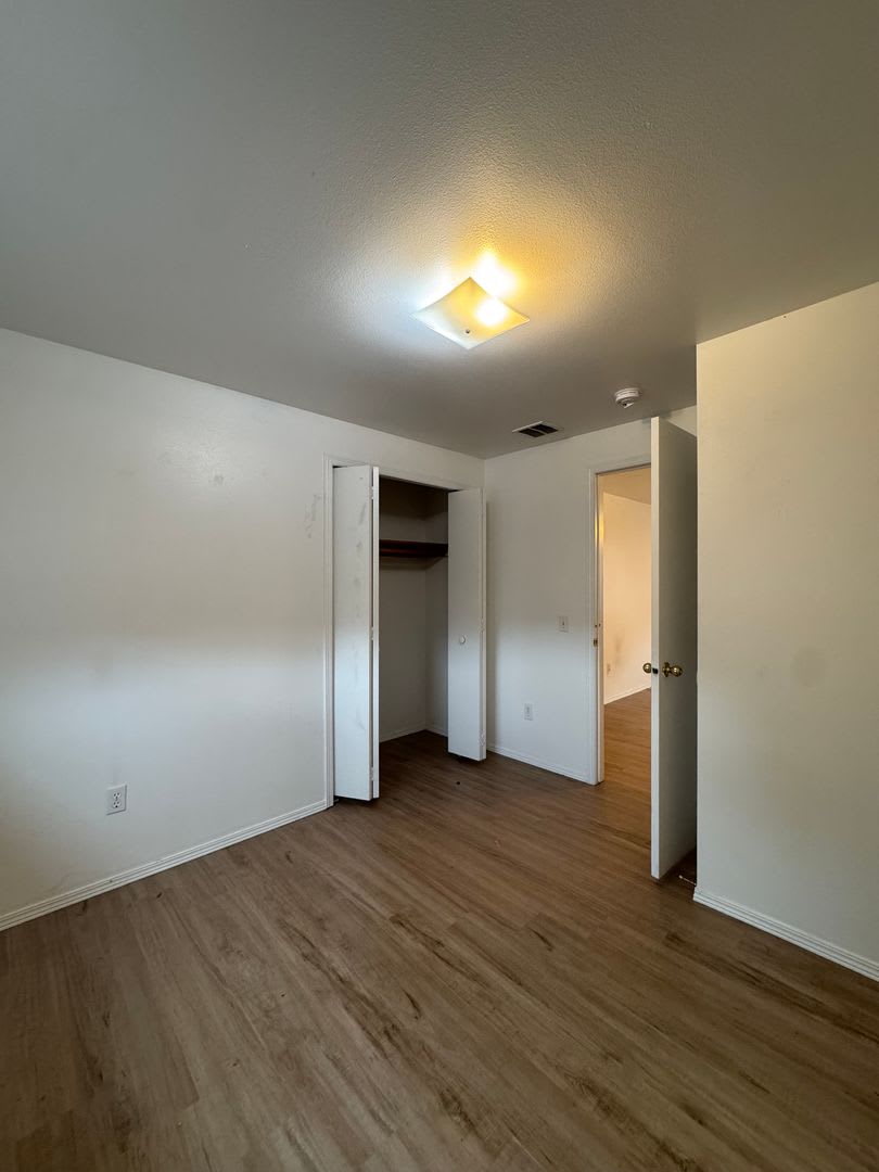 903 White Birch – photo 5