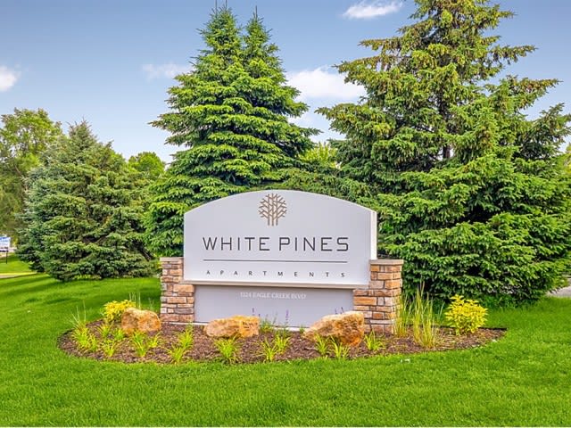 White Pines – photo 1