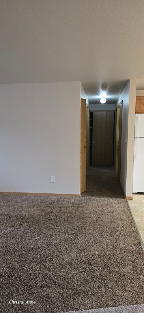 3 bedroom 1 bath in Shorecrest Neighborhood – photo 3